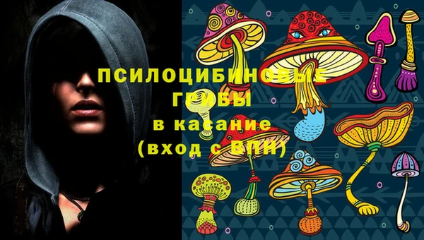 jwh Аркадак