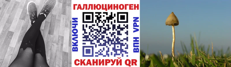 где можно купить   Омск  Псилоцибиновые грибы мицелий 
